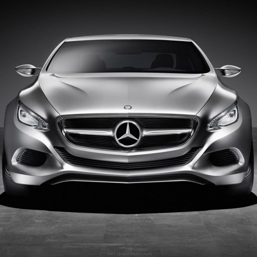Mercedes-Benz World icon