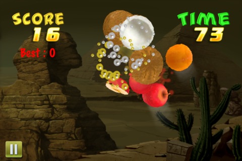 Kung Food Fighter screenshot 3