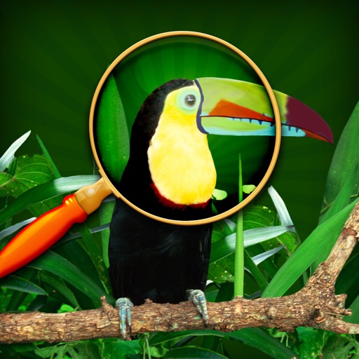 Escape from Rio de Janeiro - Fun Seek and Find Hidden Object Puzzles