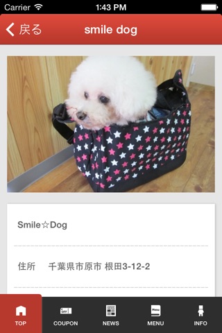 Smile Dog screenshot 2