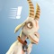 3D Goat Rampage - Zoo Animal Wild Safari