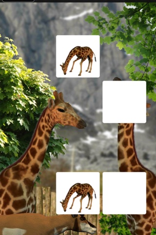 Memorize Zoo screenshot 3