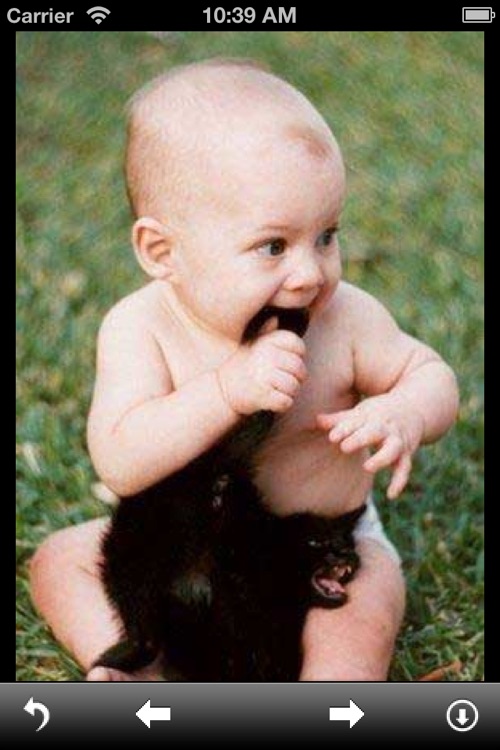 Funny Animal Pictures