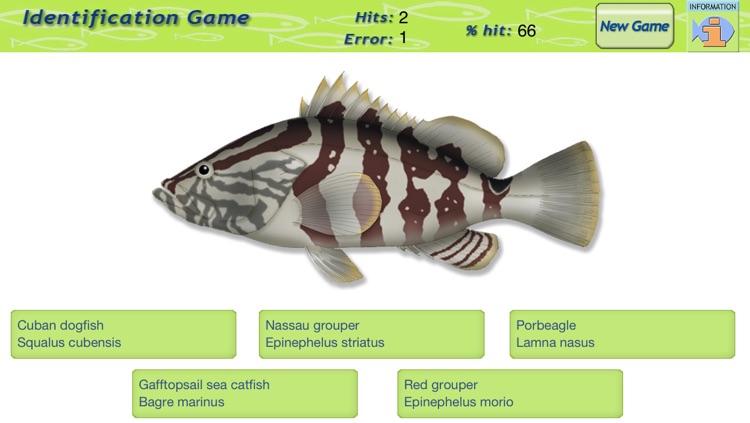 Game Fish Identification screenshot-4
