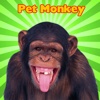 A Pet Monkey Booth