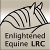 Equine Laminitis Risk Calculator