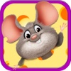 Hungry Mouse Maze - Swiping the blocks to Solve Tricky Puzzle PRO