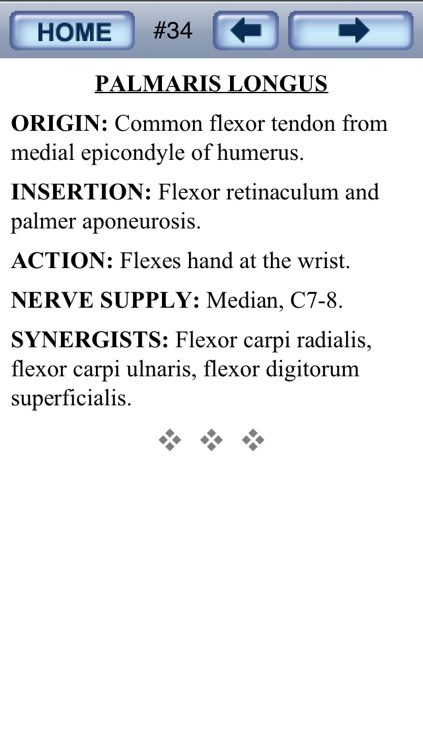 Bryan Edwards Muscles Flash Cards