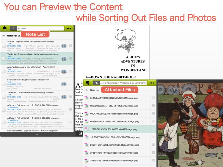 EverCrane for iPad - FileCrane for Evernote screenshot-3