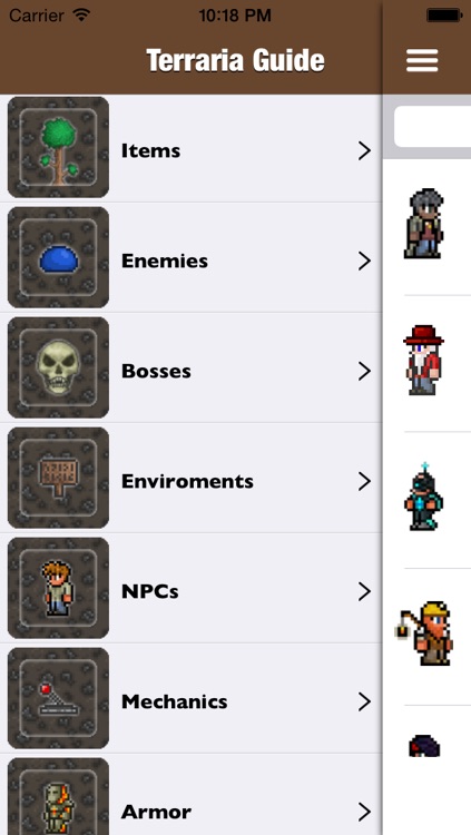 Ultimate Terraria Guide !!
