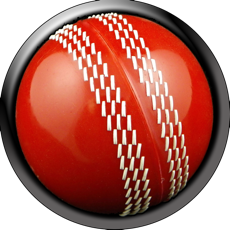 Activities of Cricktick - a cricket fungame