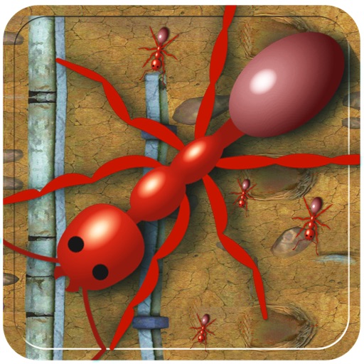 Ant colony Kingdom - Bang the ants house & infest the place with insects - Gold Edition icon