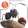 Minuscule: Valley of the Lost Ants - A Fingerprint Network App