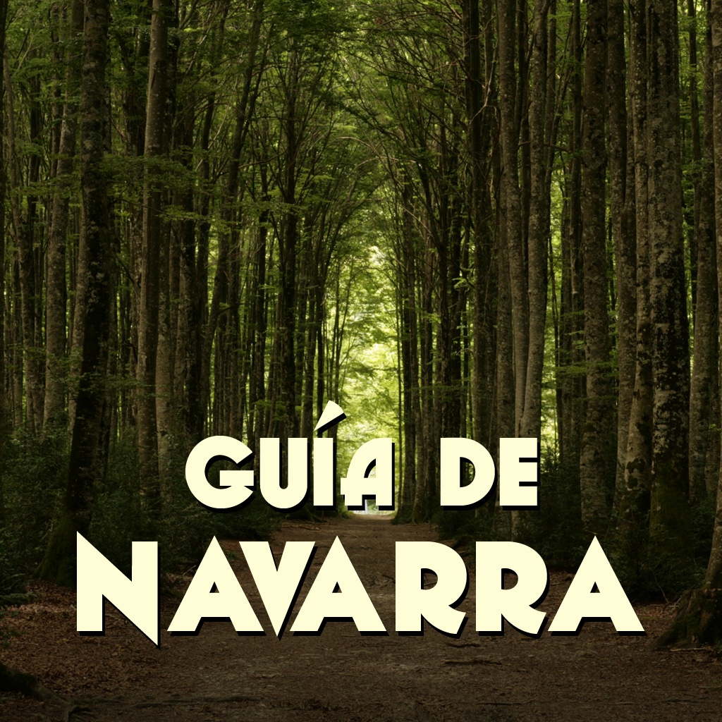 Navarra - Guía de viaje icon
