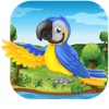 Carnival Birds Fruit Fall Escape Pro