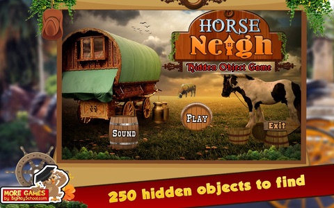 Horse Neigh Hidden Object Games screenshot 3