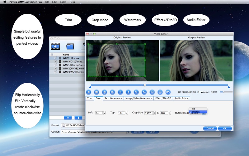 Pavku WMV Converter Pro thumbnail 4
