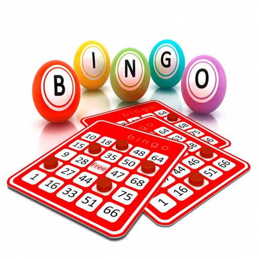 How To Play Bingo - Learn How To Play Bingo Today