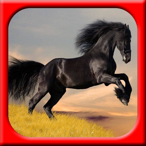 A Pet Horse Maker Booth icon