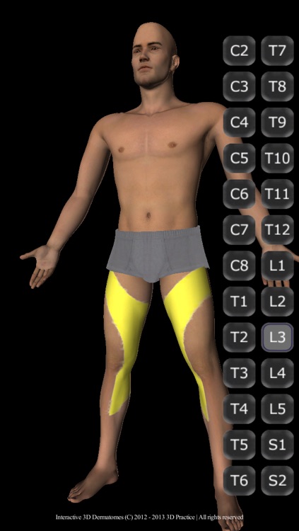 Interactive 3D Dermatomes screenshot-4