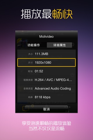 MoliPlayer Pro-video & music media player for iPhone/iPod with DLNA/Samba/MKV/AVI/RMVB screenshot 3
