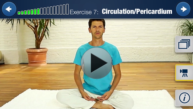 Meridian Yoga HD 15 Min. Training screenshot-3