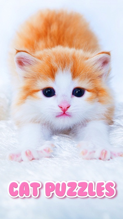 Cat Kitten Kitty Pet Baby Animal JIgsaw Puzzle Games for Girls who love educational memory learning puzzles for kids and toddlers