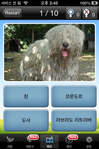 개찾사 – Dog Finder screenshot 4