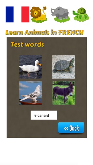 Learn Animals in French Language