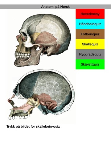 Anatomi Pad screenshot 4