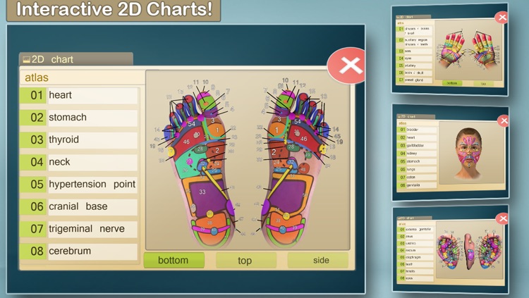 Total Reflexology-3D