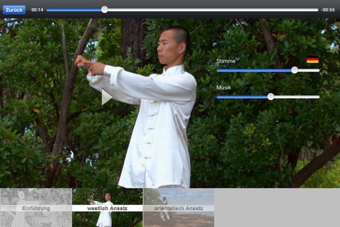 Tai Chi Lite screenshot 4