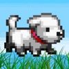 Flappy Pets - for Cat Puppy Dog Bird and Chicken