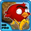 Happy Birds On The Run HD PRO - Cool Fun Adventure Arcade Game - FOR VIPs ONLY