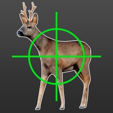 Activities of Hunting Simulator Free