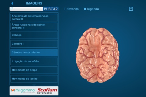 Atlas Neuropatia e Inflamação screenshot 2