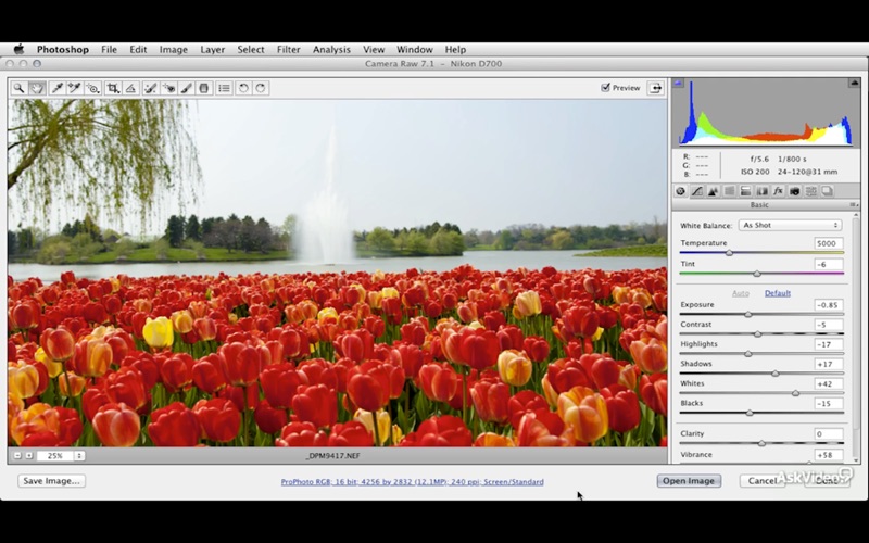 Raw Photos with ACR7 thumbnail 4