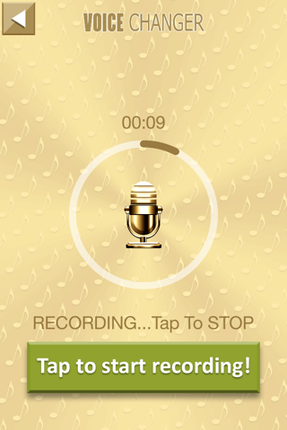 Gold Voice Changer Prank - Make Fun Recordings & Transform your Speech with Funny Effects screenshot 2