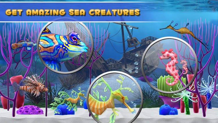 Fish Paradise