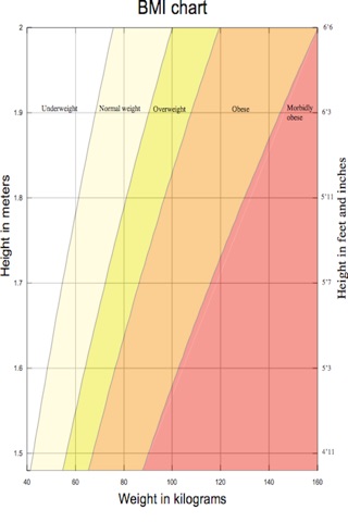 BMI (Body Mass Index) Calculator screenshot 2