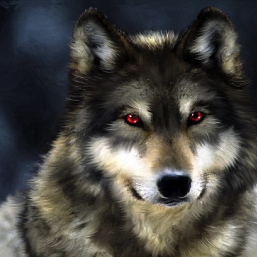 Wolf Wallpapers++