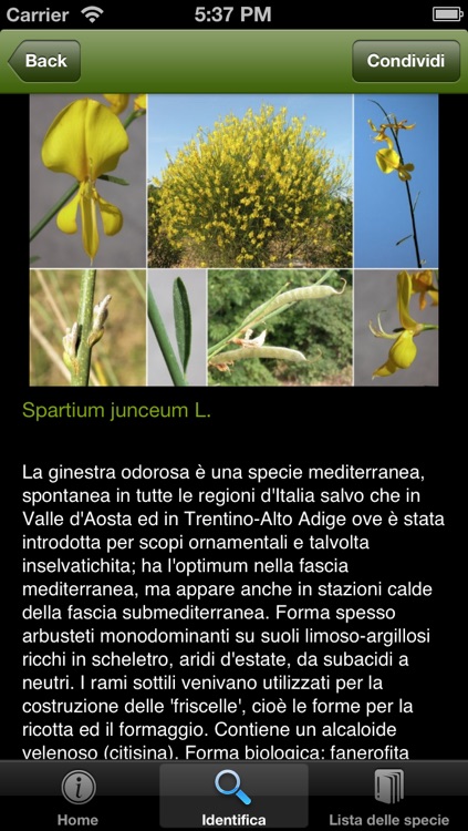 Orto Botanico di Padova  - Una caccia al tesoro screenshot-4