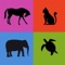 This app gives your age and convert it in animal's lifetime
