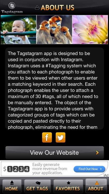 Tagstagram Lite - Copy and Paste Tags for Instagram screenshot-3