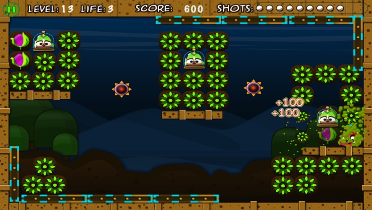 Birdy Bounce.