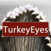 TurkeyEye's