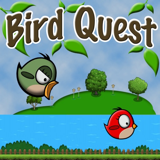 Bird Quest