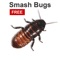 Smash Bugs FREE