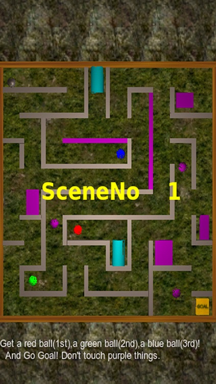 Trap Maze