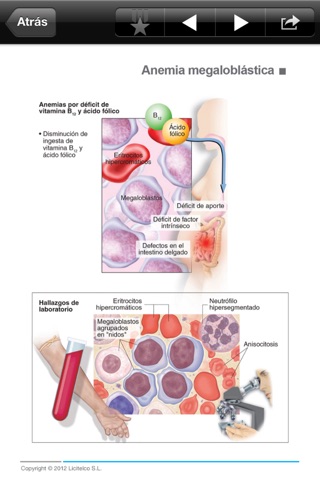 Miniatlas Hematology screenshot 4